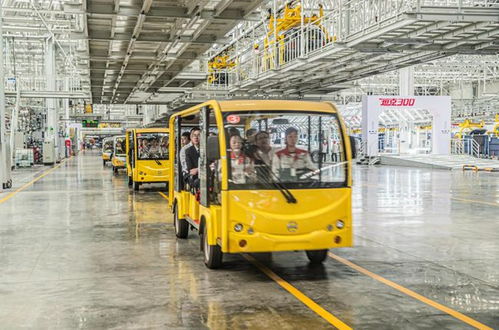 先看后試再下單，長城汽車工廠直銷特賣會狂收訂單572臺